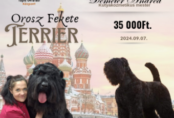 Orosz fekete terrier