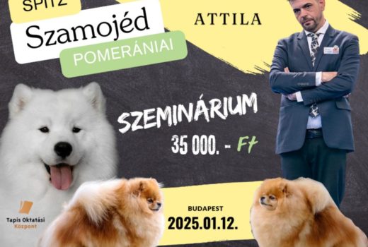 Pomerániai